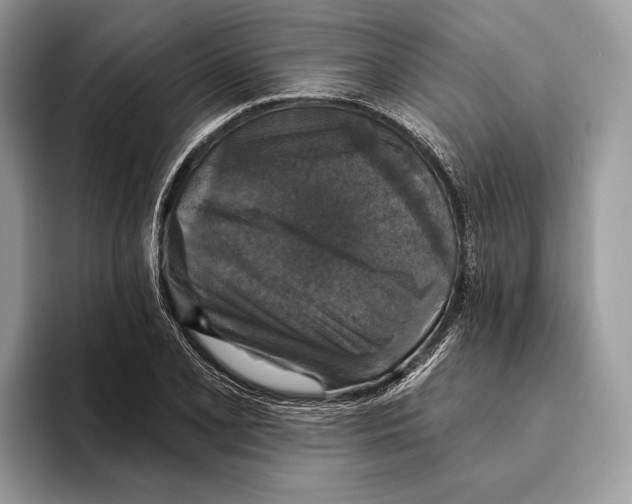 X0000095531077200801111408