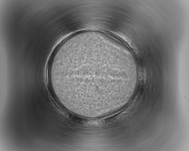 X0000095531078200801111408