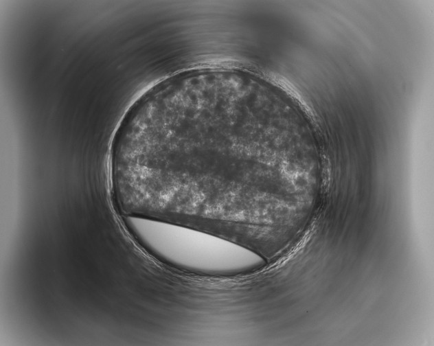 X0000095531079200801111408