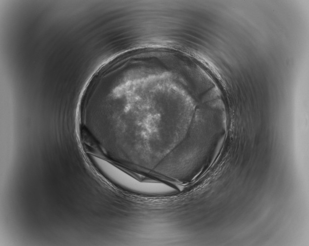 X0000095531080200801111408