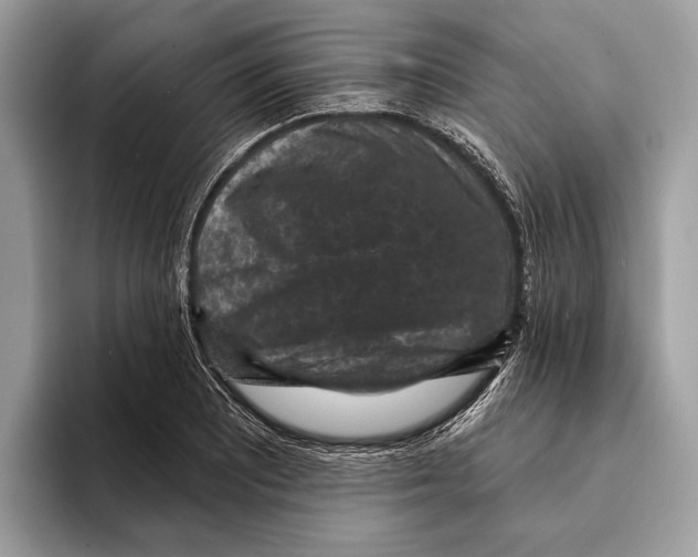 X0000095531081200801111408