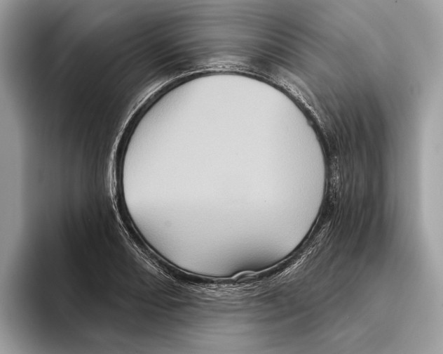 X0000095531082200801111408