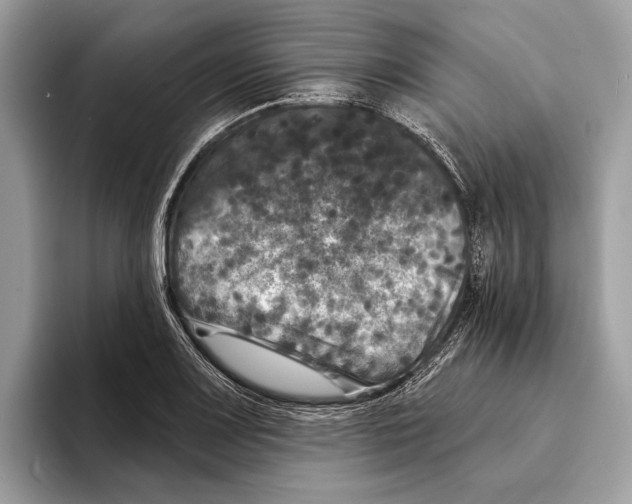 X0000095531083200801111408