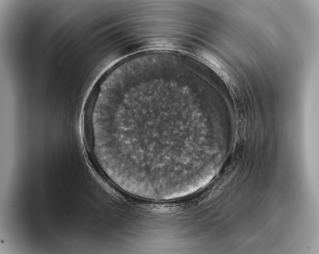 X0000095531084200801111408