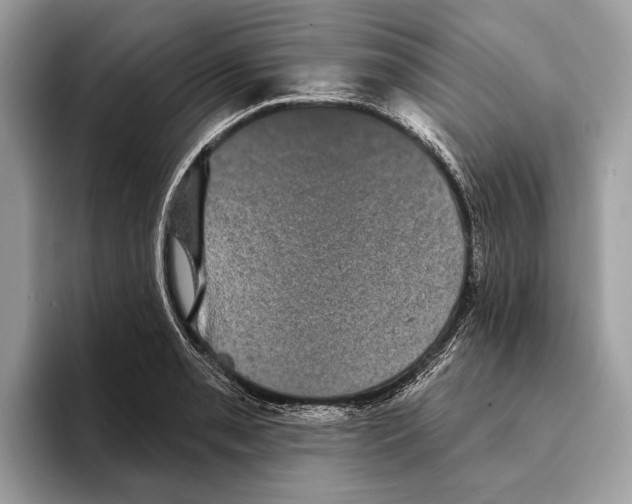 X0000095531085200801111408