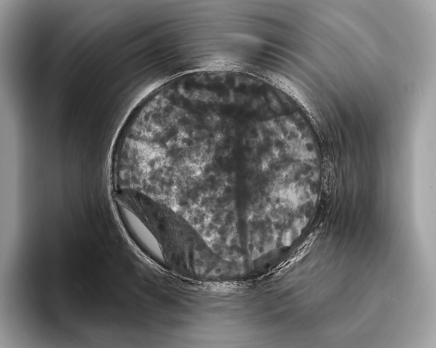 X0000095531087200801111408