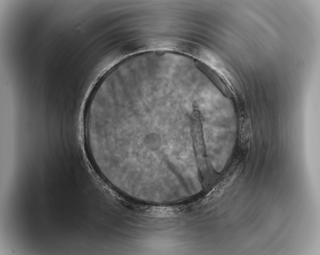 X0000095531088200801111408