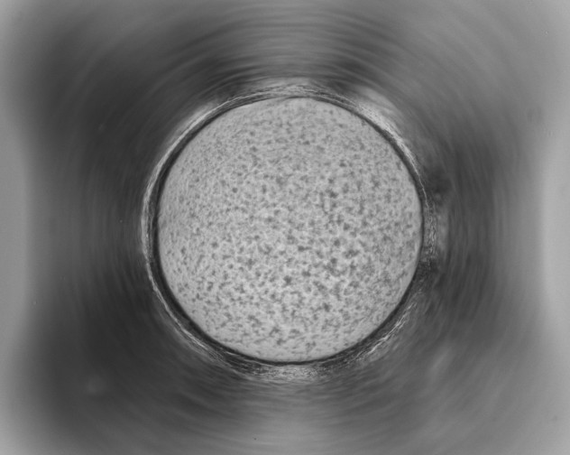 X0000095531090200801111408