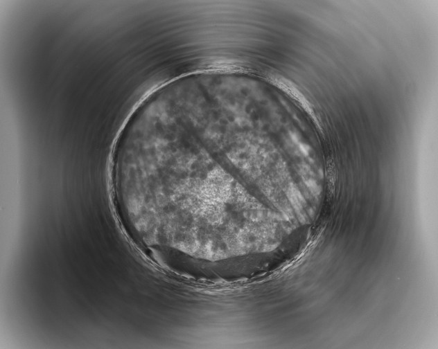 X0000095531091200801111408