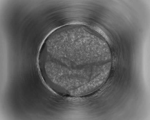 X0000095531092200801111408