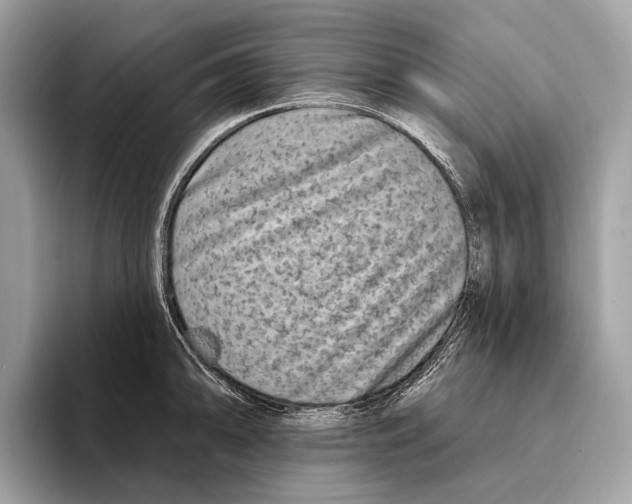 X0000095531094200801111408