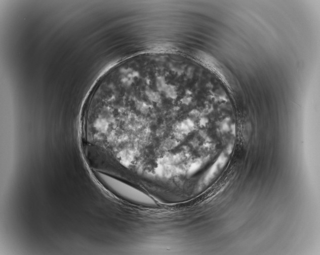 X0000095531095200801111408