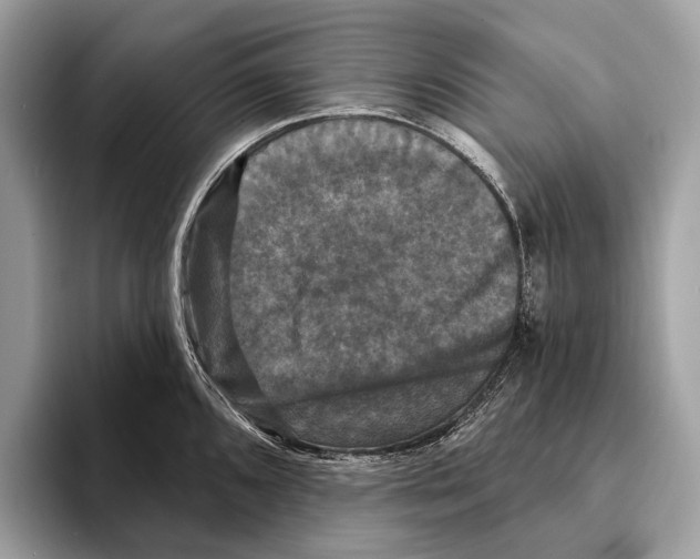 X0000095531096200801111408