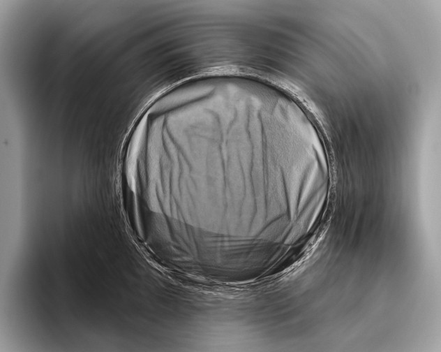 X0000095531097200801111408