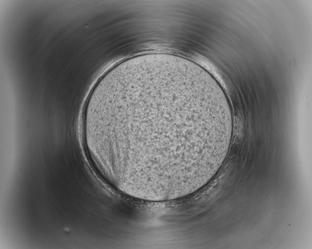 X0000095531098200801111408