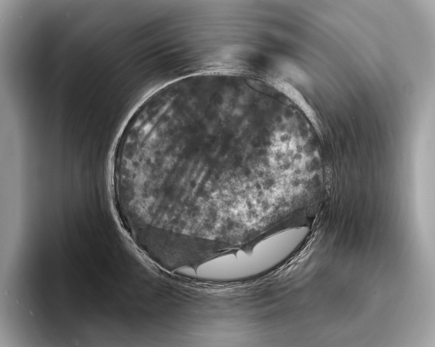 X0000095531099200801111408