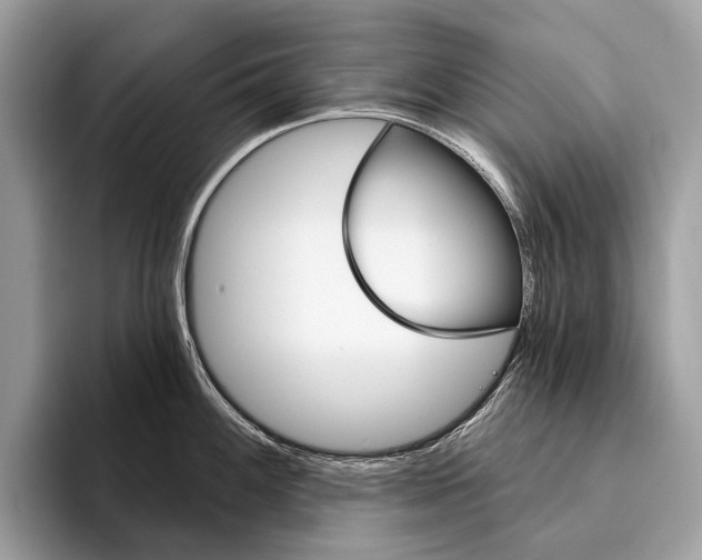 X0000095531100200801111408