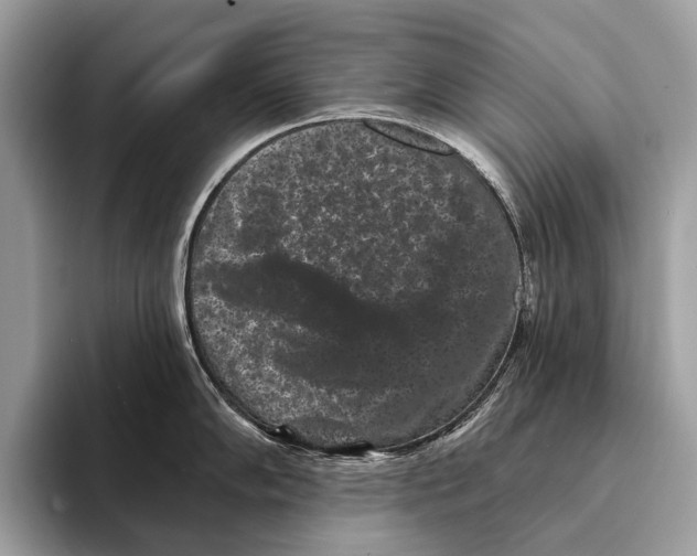 X0000095531102200801111408