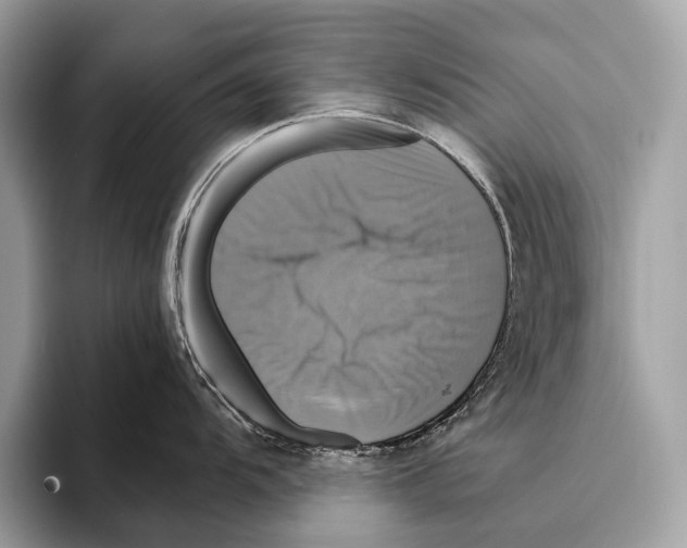 X0000095531104200801111408