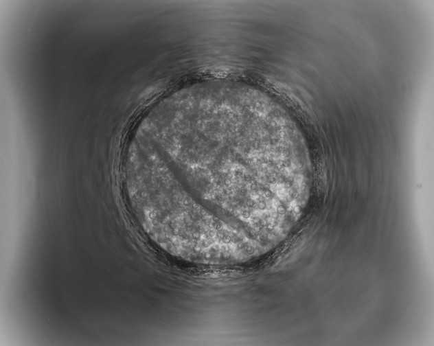 X0000095531105200801111407