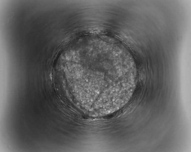 X0000095531106200801111407