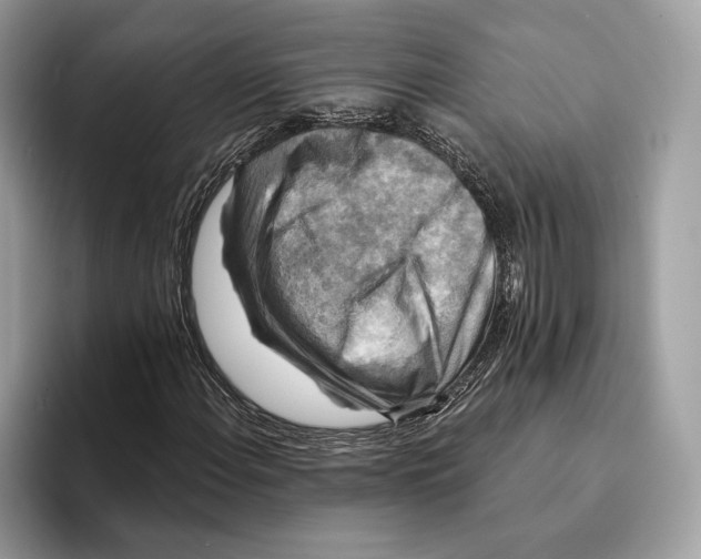 X0000095531108200801111407