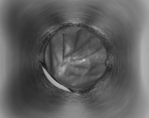 X0000095531110200801111407