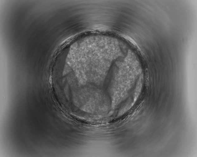 X0000095531112200801111407