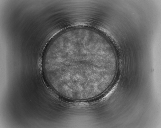 X0000095531113200801111407