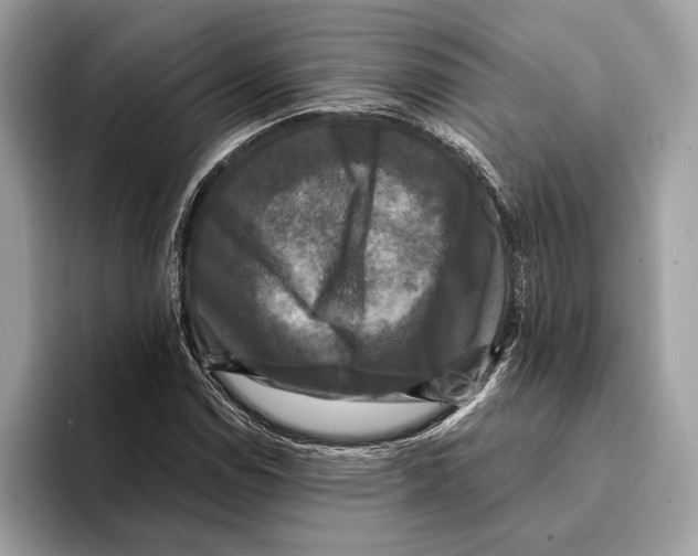 X0000095531114200801111407