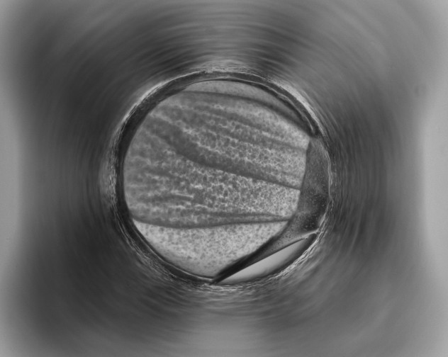 X0000095531115200801111407