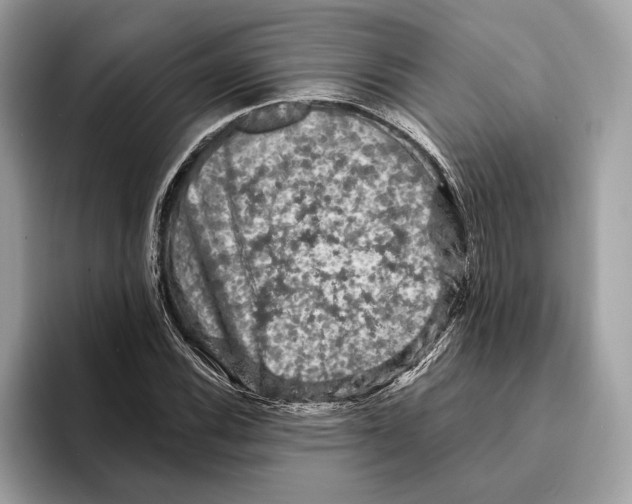 X0000095531116200801111407