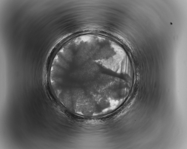 X0000095531117200801111407