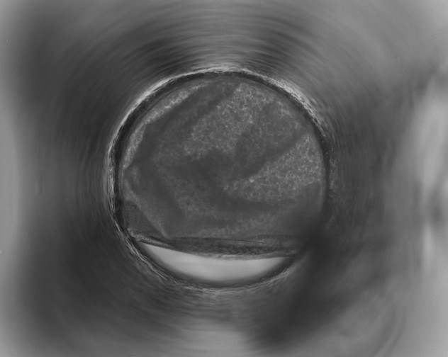 X0000095531118200801111407