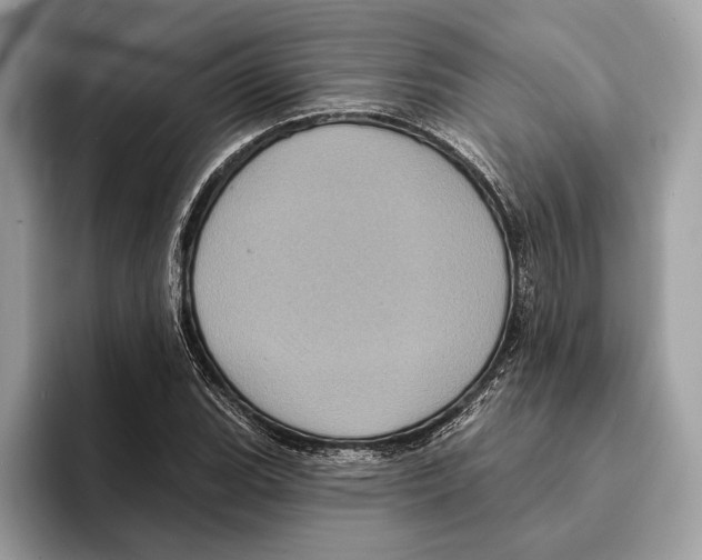 X0000095531119200801111407