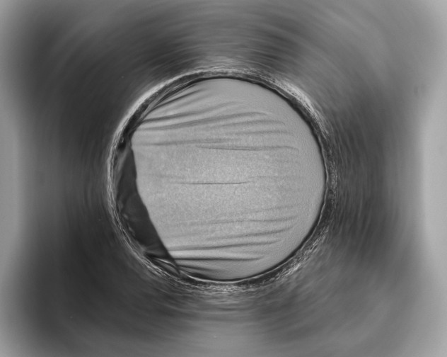 X0000095531120200801111407