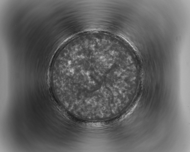 X0000095531121200801111408