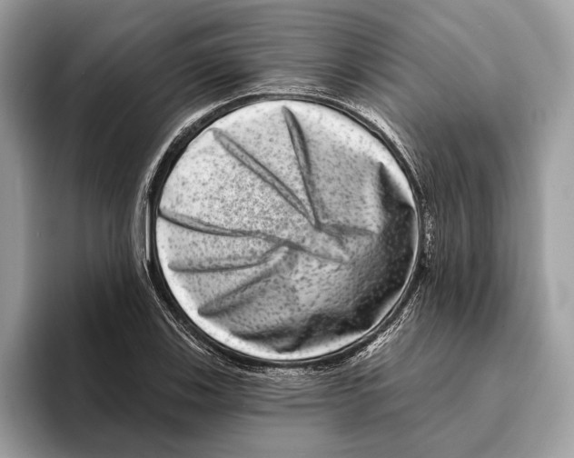 X0000095531123200801111408