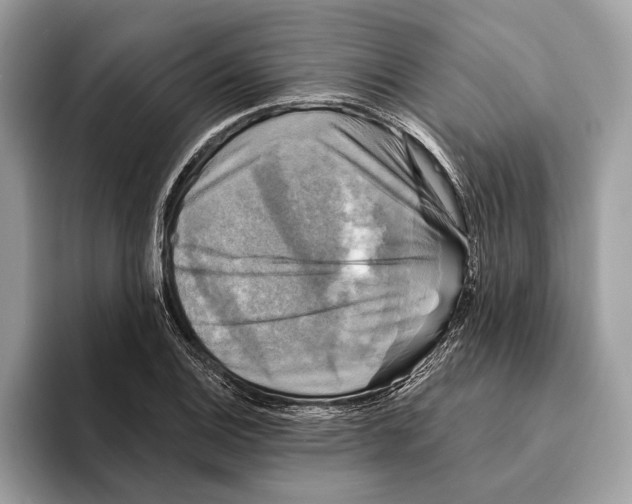 X0000095531124200801111408