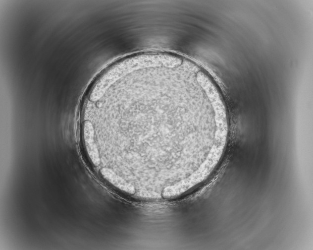 X0000095531126200801111408