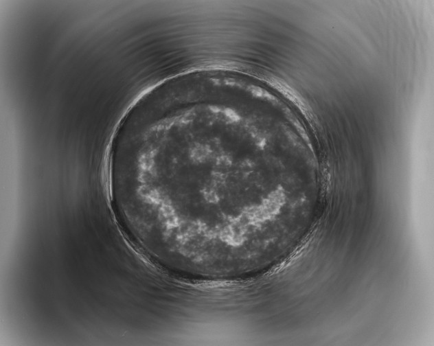 X0000095531127200801111408