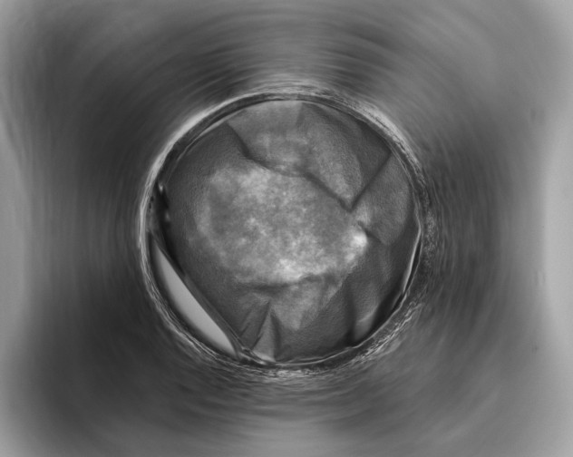 X0000095531128200801111408