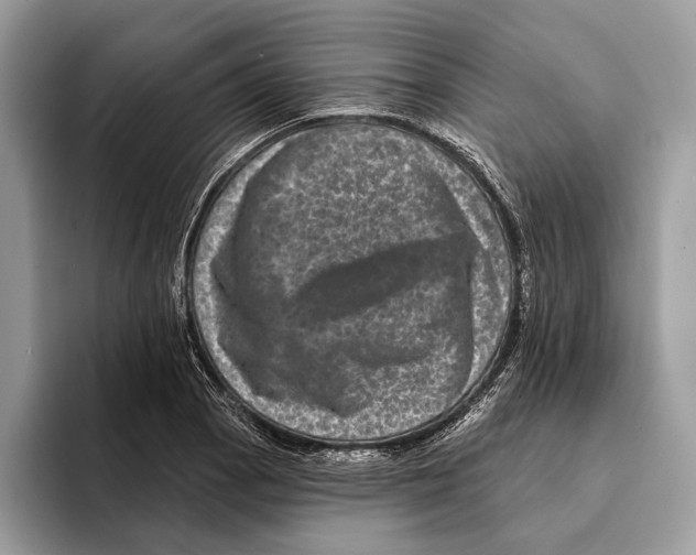 X0000095531129200801111408