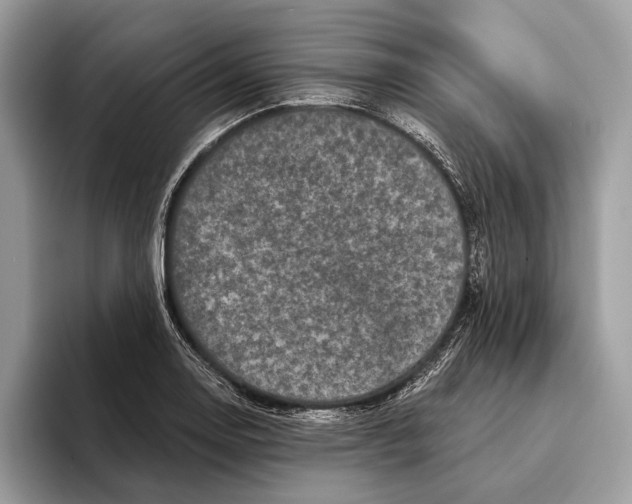 X0000095531130200801111408