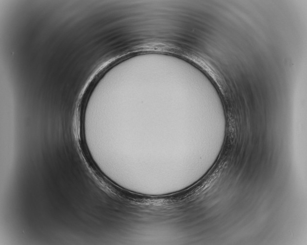 X0000095531131200801111408