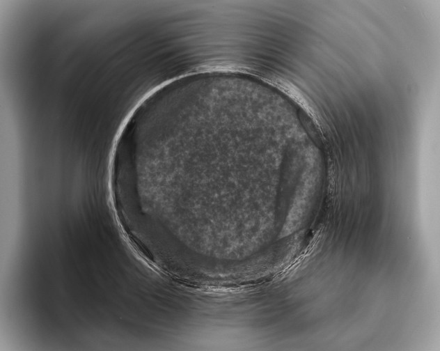 X0000095531132200801111408