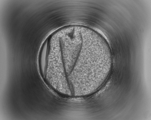 X0000095531133200801111408