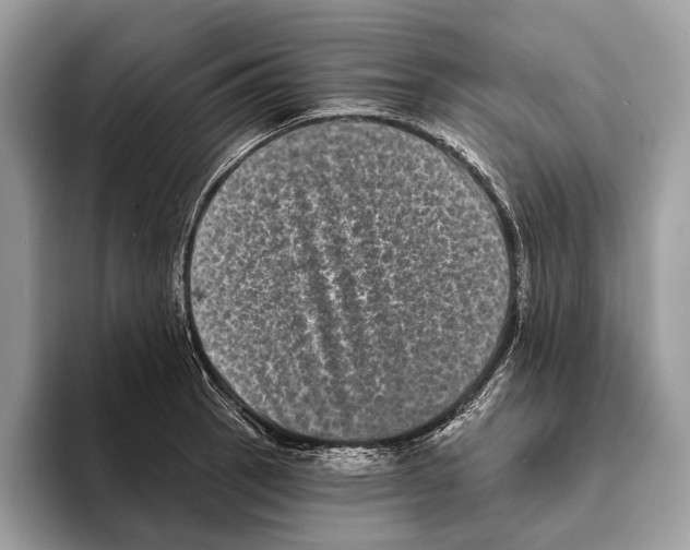 X0000095531137200801111408