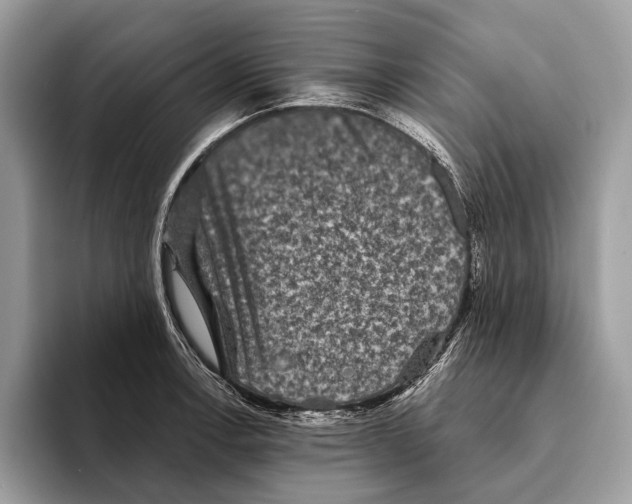 X0000095531138200801111408