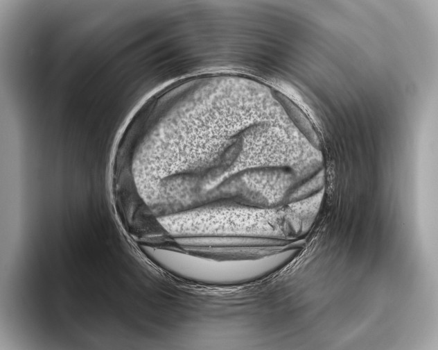 X0000095531140200801111408